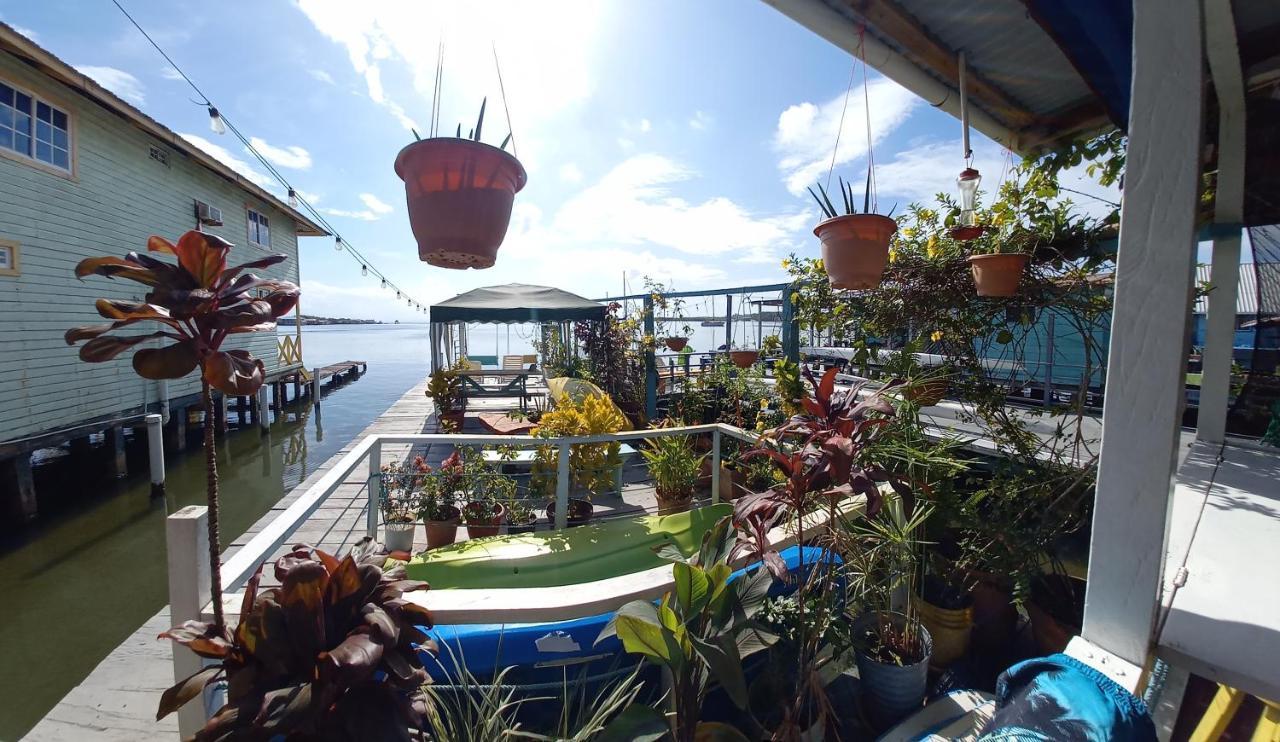 Villa Urania House Bocas del Toro Exterior foto